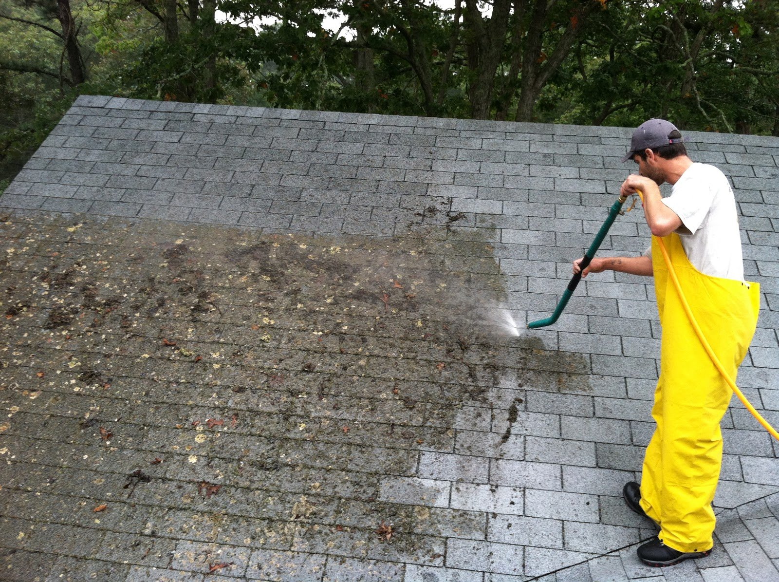 roof-cleaning-orlando