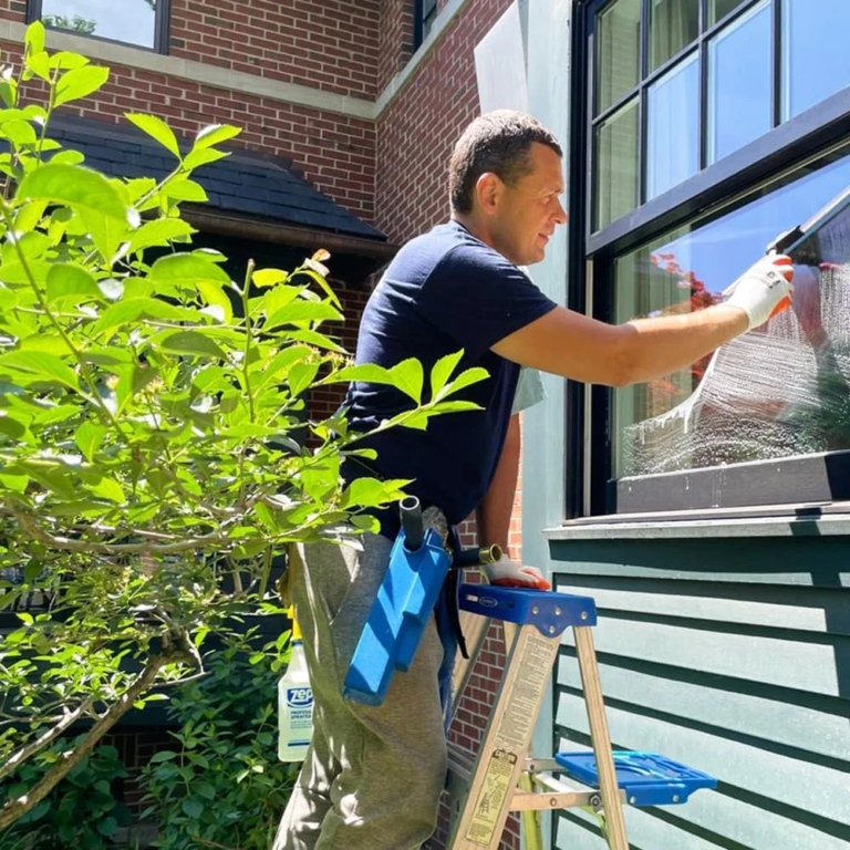 pressure washing river view